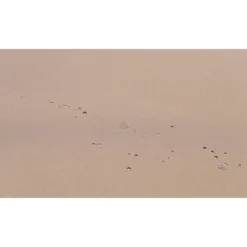 4pc Wicker Patio Sectional Seating Set With Cushions - Natural - GODEER -Crosley shop GUEST 64a040a6 d12d 490f 9137 a10f5de8a534