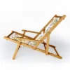 Marta Barragan Camarasa Modern Nature JL Sling Chair - Deny Designs